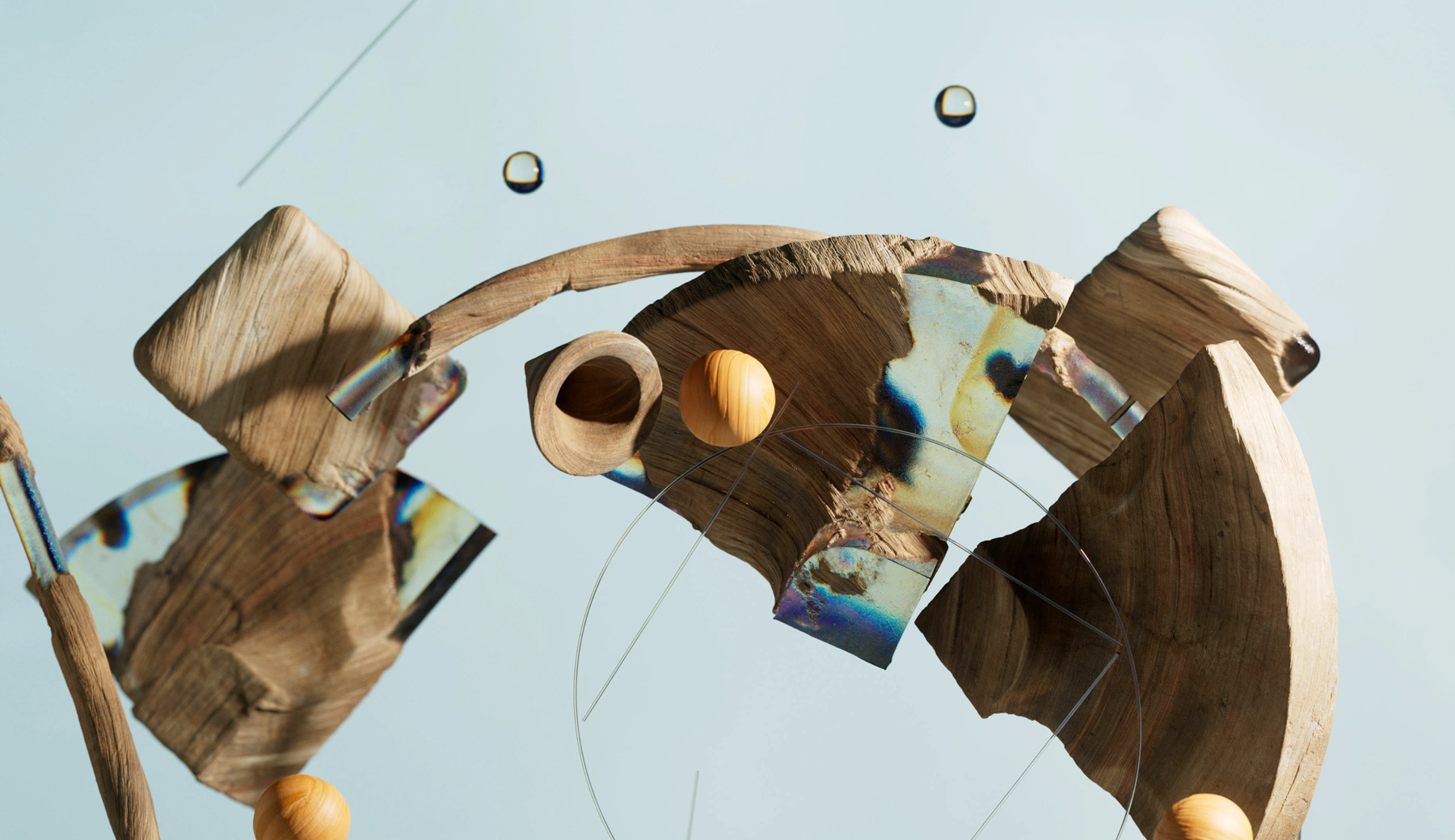 SAWDUST_6