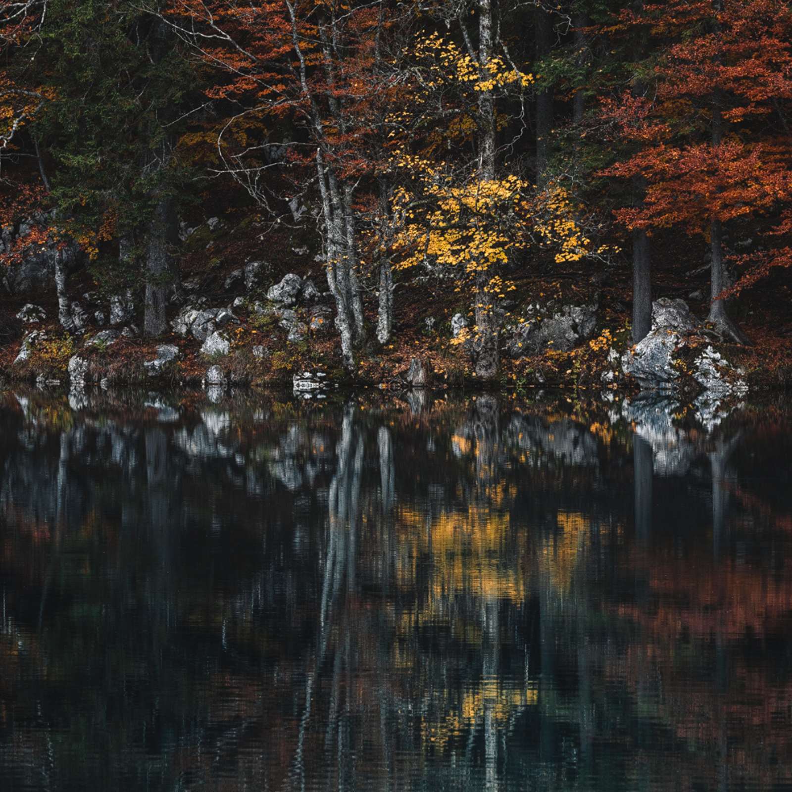 Stian Klo